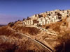 Safed