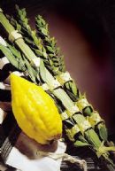 Sukkot Party